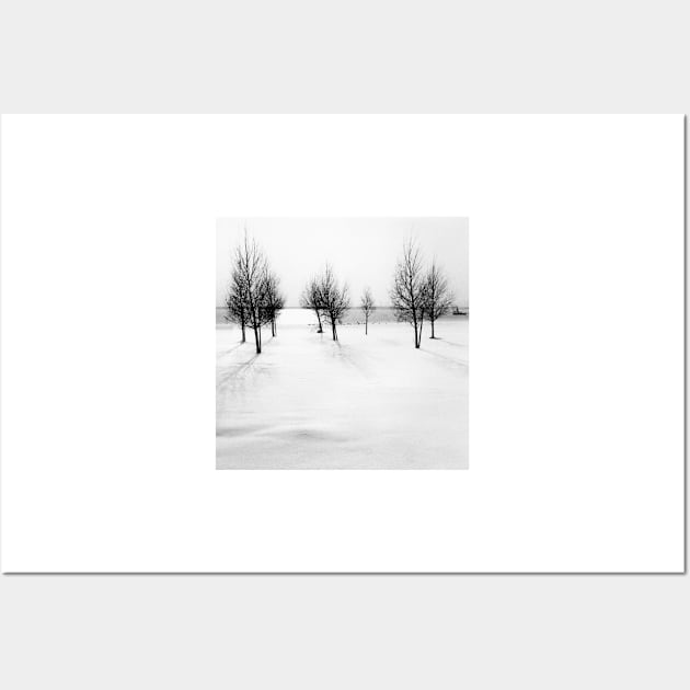 Winter scene, new update Wall Art by robelf